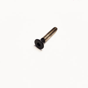 <h3>T207390</h3> Black T-10 Security Torx Drive Screw (Stainless Steel)