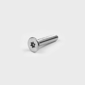 <h3>T207370</h3> Stainless Steel T-10 Security Torx Drive Screw
